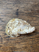 Load image into Gallery viewer, Oyster Shells
